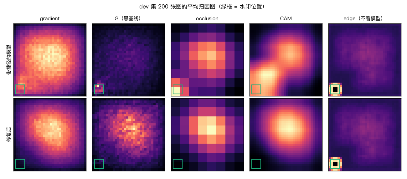 修复前后的平均归因图(绿框 = 水印位置)